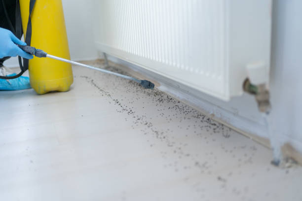 Best Pest Prevention Services  in Woodbury Heights, NJ